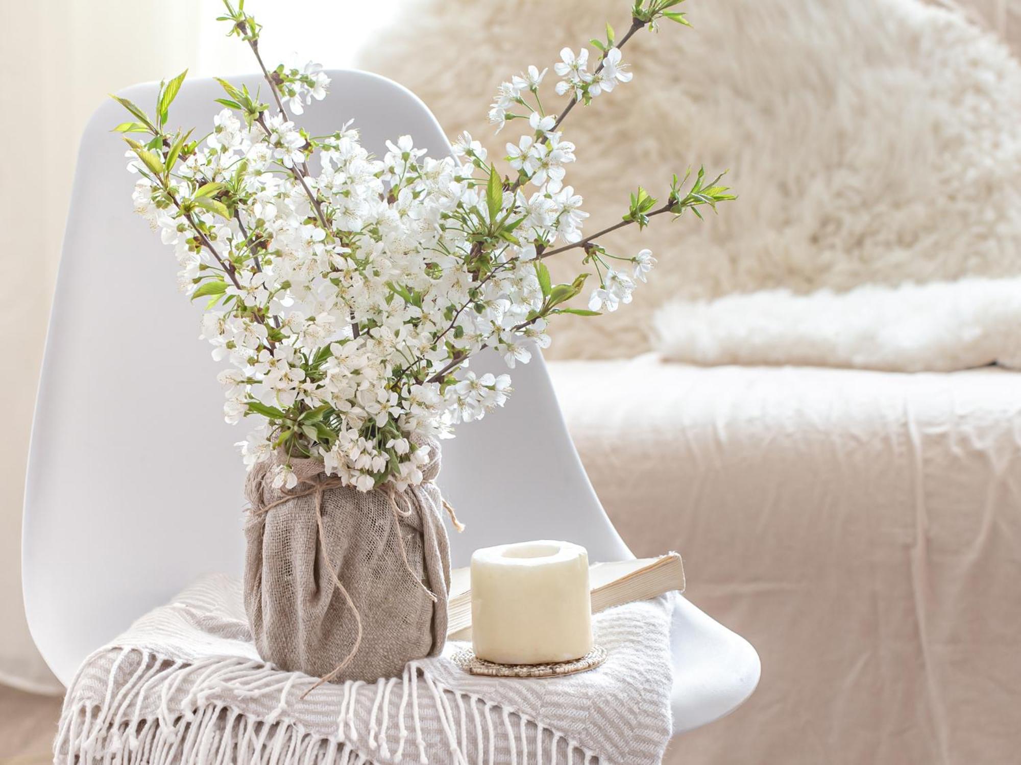 Boho Bliss
